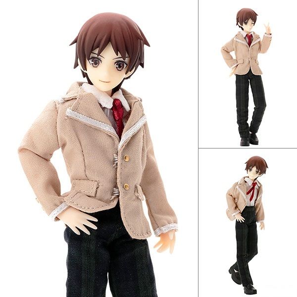Picco Danshi Tsubasa Arayashiki (Brown ver.) Doll