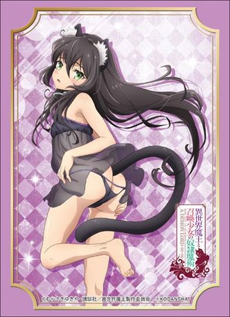 Bushiroad Sleeve Collection High-grade Vol. 1682 How Not to Summon a Demon Lord Rem Galleu