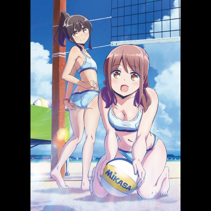 Harukana Receive A4 Multi Cloth