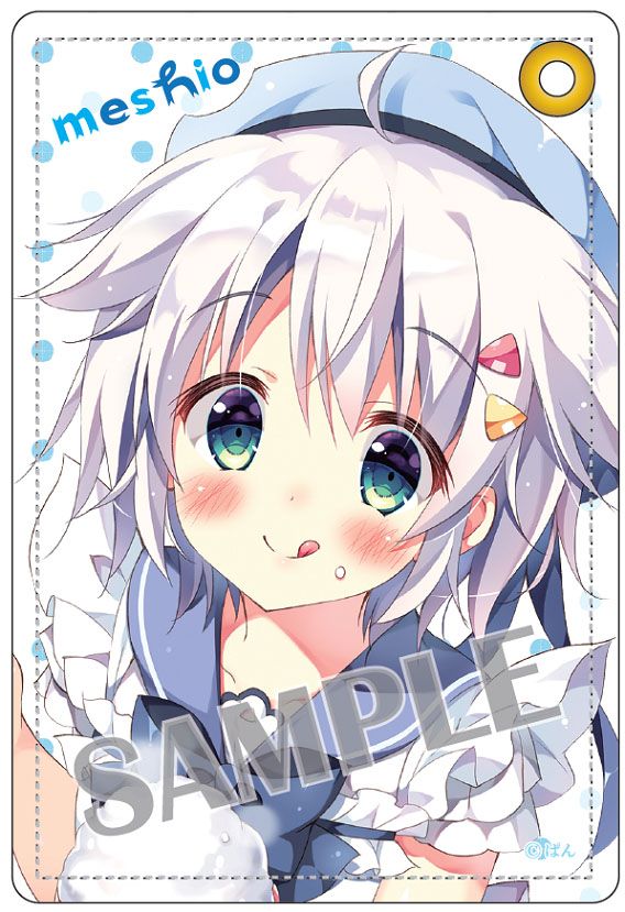 Pan Pass Case Meshio Uniform Apron Ver.