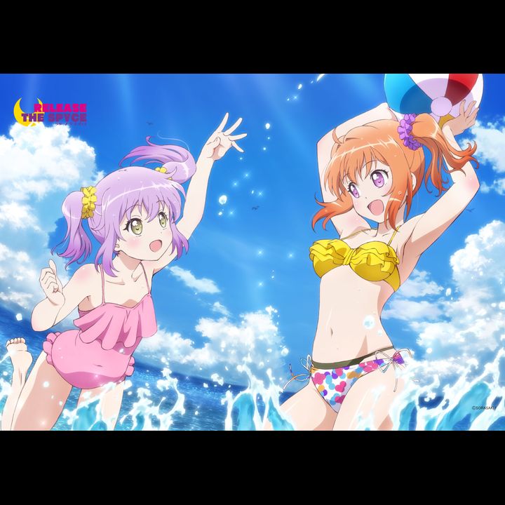 Release The Spyce B2 Tapestry