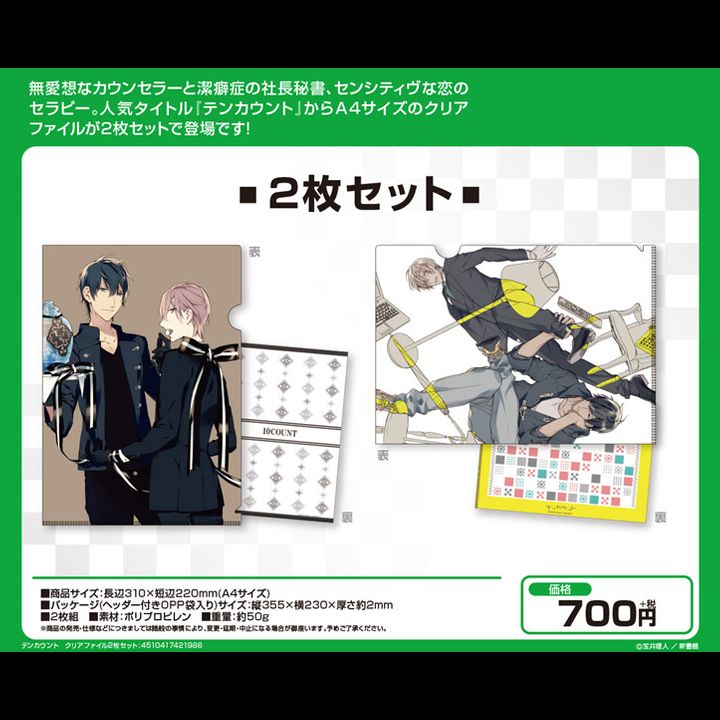 10 Count Clear File 2 Set