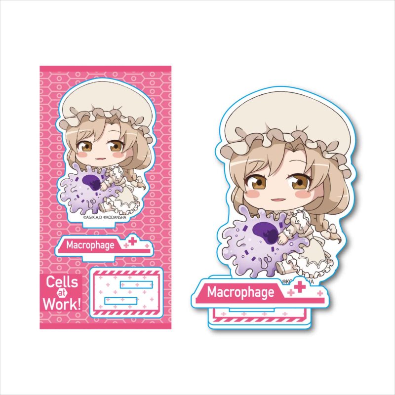 Cells at Work! GyuGyutto Acrylic Figure Macrophage