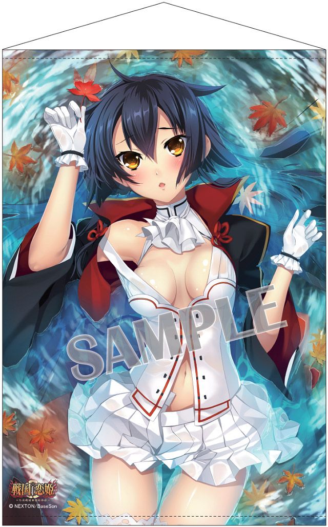 Hinata Katagiri B1 Tapestry Sengoku Koiihime Kuon Extra Edition