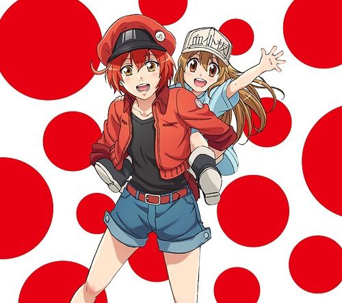 CD+DVD Single CheerS [Limited Anime Edition]