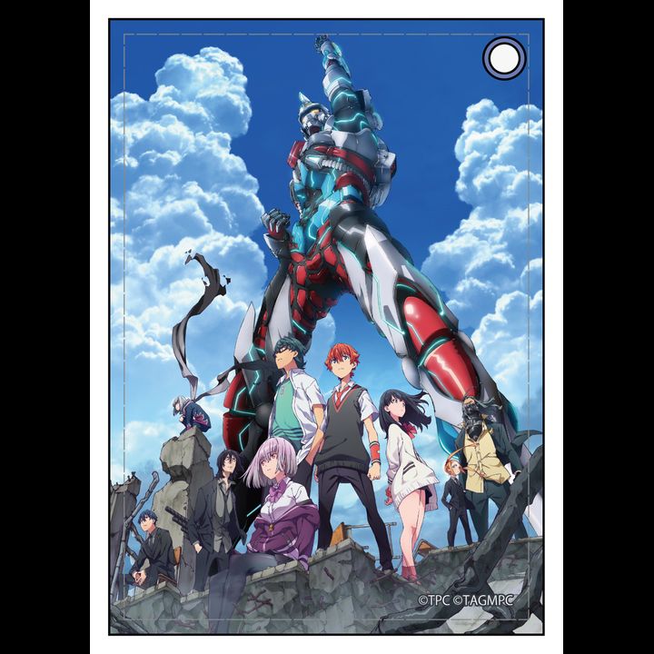 SSSS.Gridman Leather Pass Case B