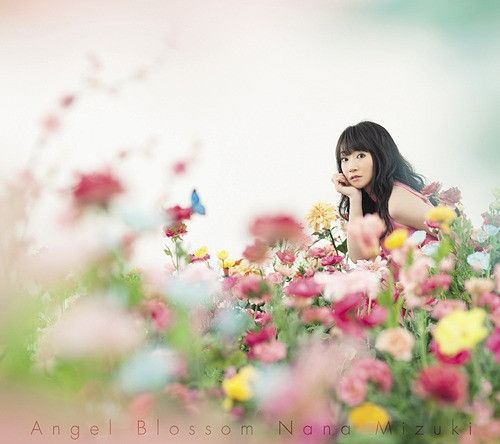 CD Single Angle Blossom