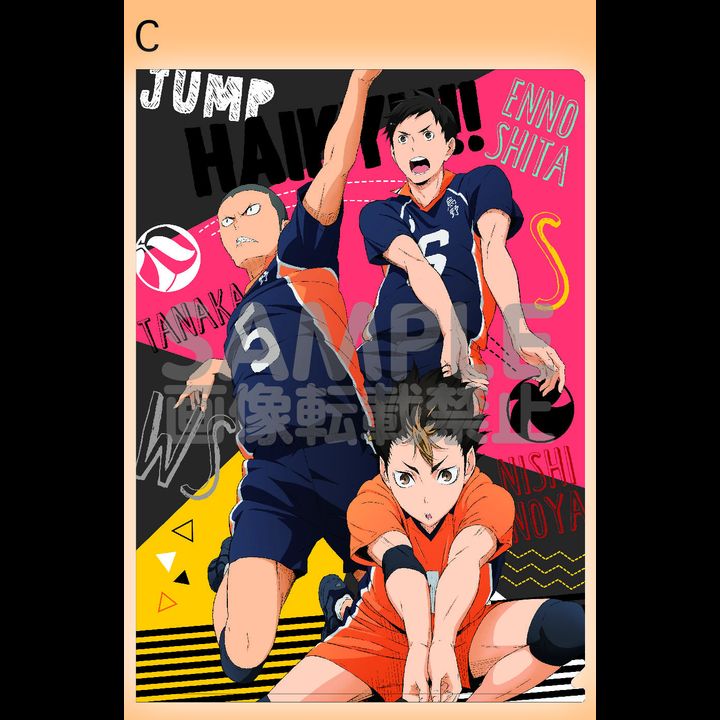 Haikyu!! Clear File C Karasuno Second-year Student