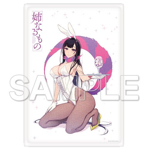 Ane naru Mono Mofufuwa Blanket