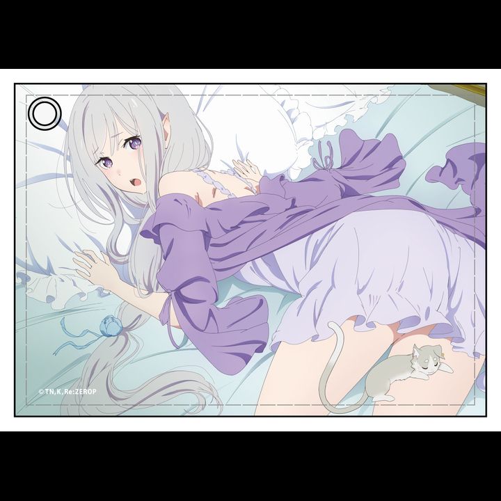 Re:Zero kara Hajimeru Isekai Seikatsu Leather Pass Case Emilia
