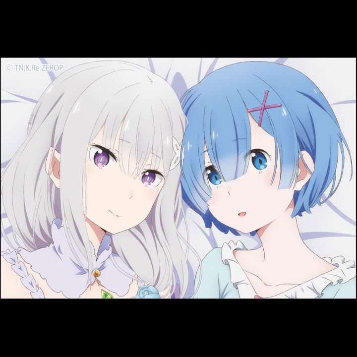 Re:Zero kara Hajimeru Isekai Seikatsu Square Magnet Emilia & Rem B
