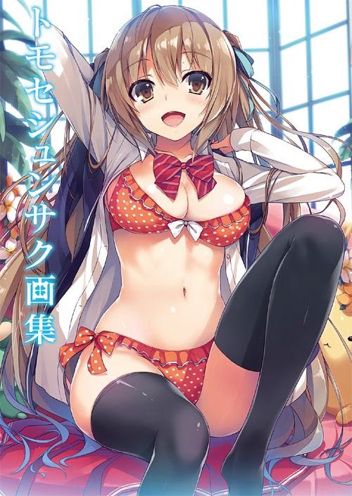 Tomose Shunsaku Art Book