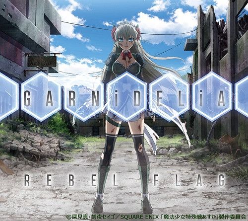 CD + DVD Single Rebel Flag [Limited Pressing]