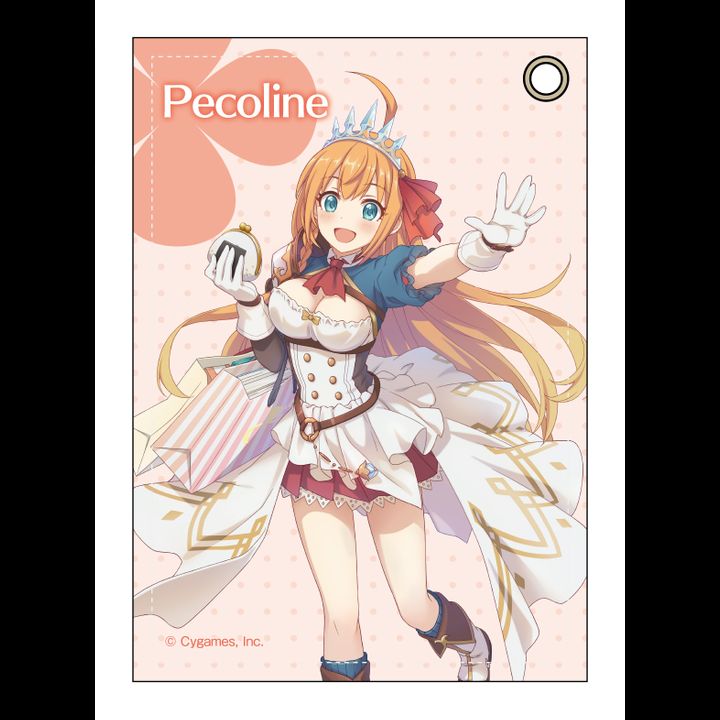Princess Connect! Re:Dive Leather Pass Case Okaimono Ver.