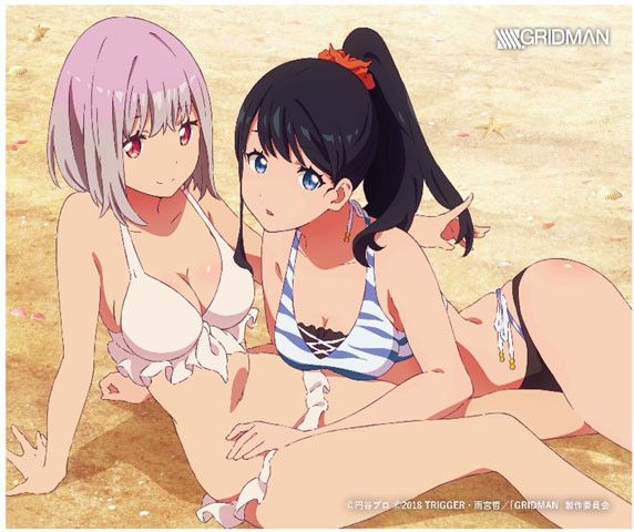 Klock Worx Canvas Collection Vol. 1 SSSS.Gridman Swimwear (22x27cm)