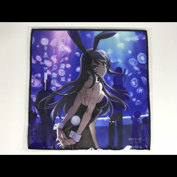 Seishun Buta Yaro wa Bunny Girl-senpai no Yume wo Minai Microfiber Mini Towel Key Visual 1