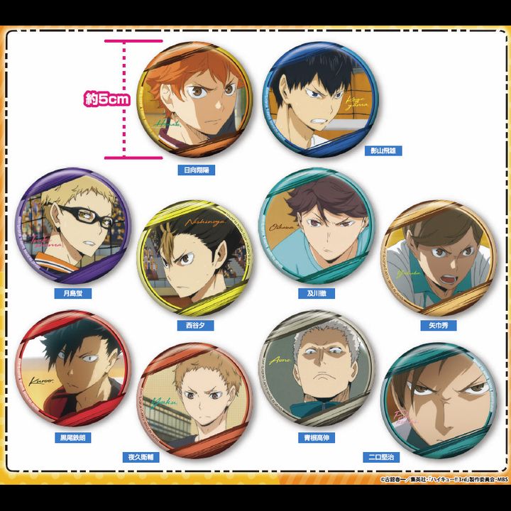 Haikyu!! Passion Can Badge 4 [SET OF 10]