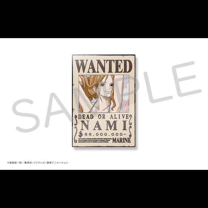 One Piece Acrylic Bounties Security Magnet Nami