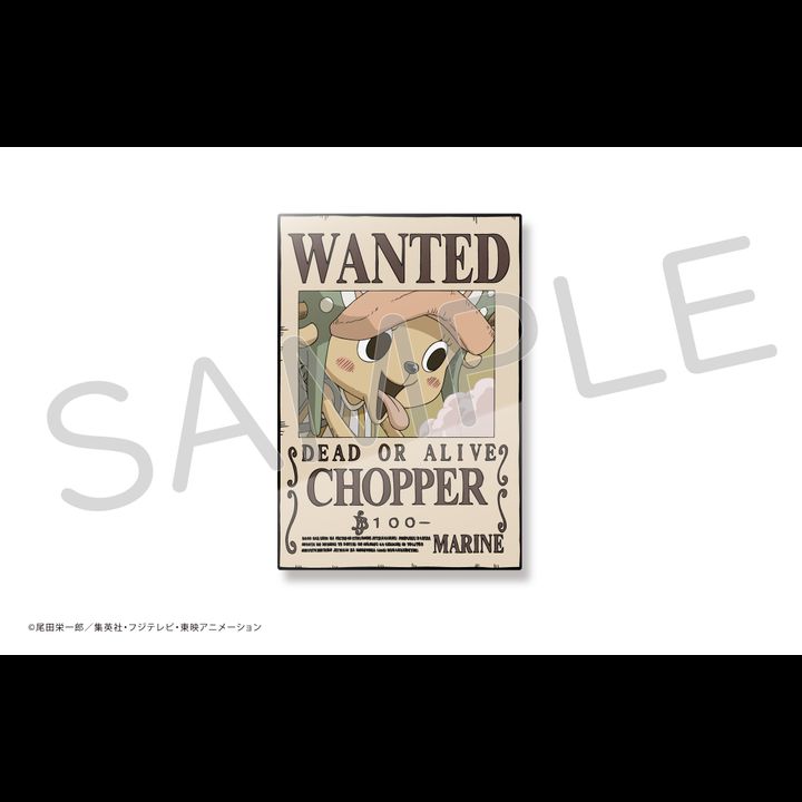 One Piece Acrylic Bounties Security Magnet Tony Tony Chopper