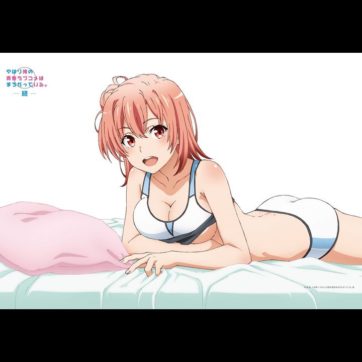 Yahari Ore no Seishun Love-come wa Machigatteiru. Zoku Original Illustration Yui Horizontal B2 Tapestry (72x51cm)