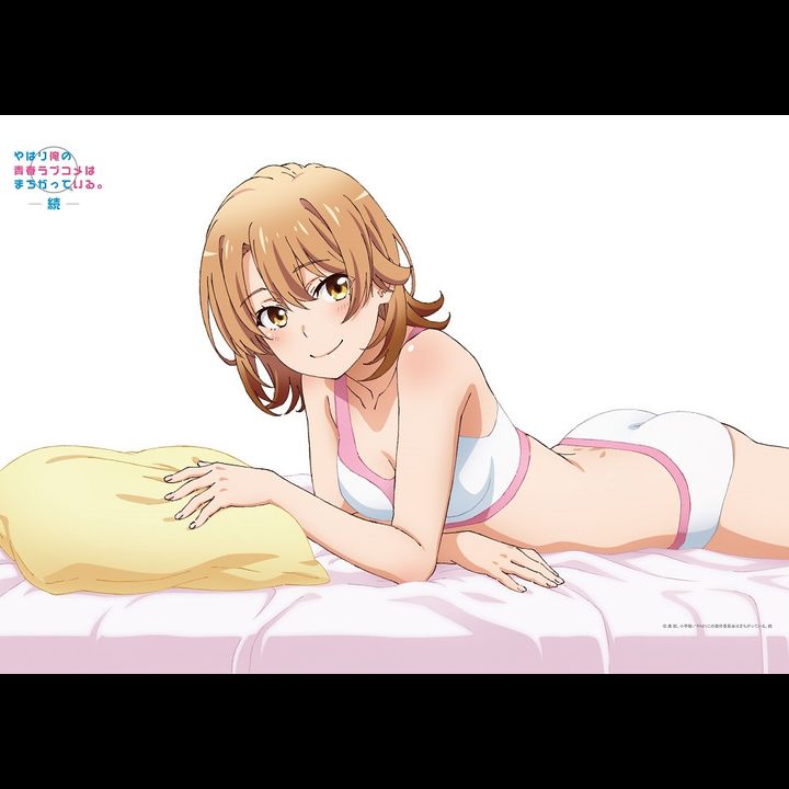 Yahari Ore no Seishun Love-come wa Machigatteiru. Zoku Original Illustration Iroha Horizontal B2 Tapestry (72x51cm)