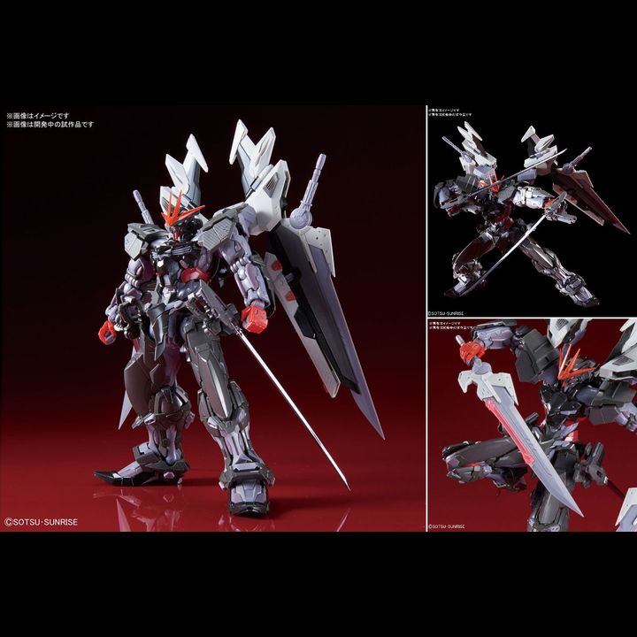 High Resolution Model 1/100 Gundam Astray Noir