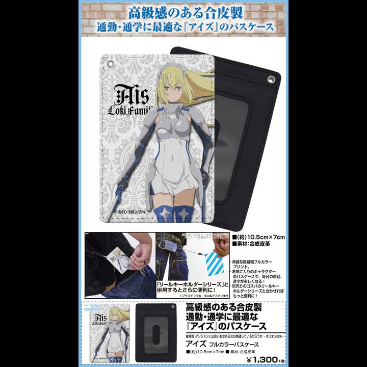 Is It Wrong to Try to Pick Up Girls in a Dungeon?: Arrow of the Orion Ais Full Color Pass Case