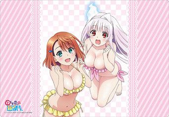 Bushiroad Rubber Mat Collection Vol. 317 Yuuna and the Haunted Hot Springs Yuuna & Chisaki