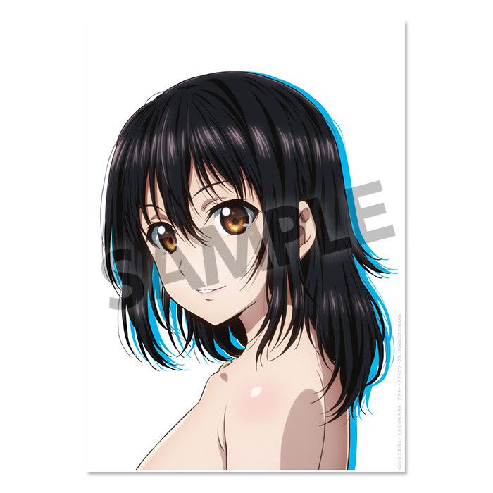 Strike the Blood III Visual Acrylic Plate Himeragi Yukina Bust Up Ver. (A5 Size 21x15cm)
