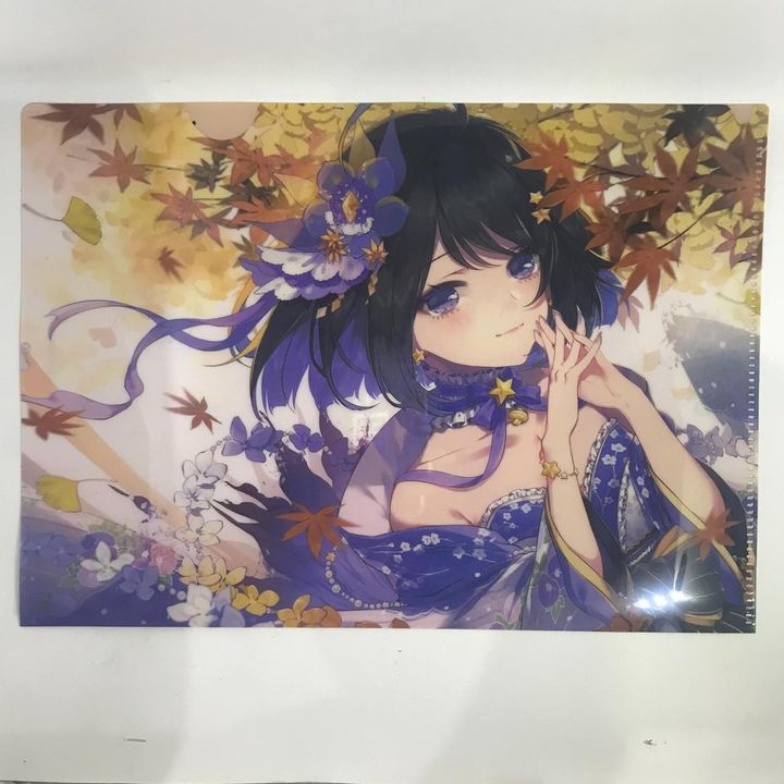 Honkai Impact 3 A4 Clear File Happy Bithday To Seele