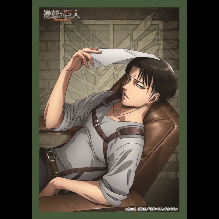 Attack on Titan Season 3 Multi Cloth Levi