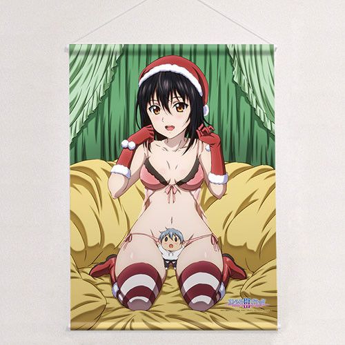 Strike the Blood B2 Tapestry Yukina / Santa Costume (72x51cm)