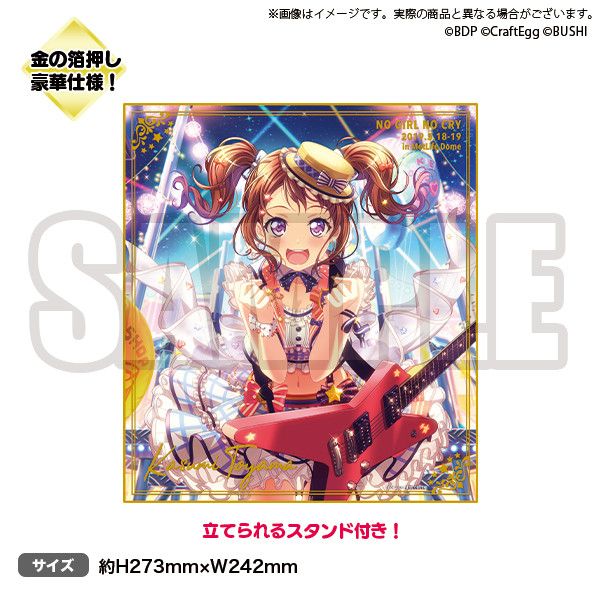 NO GIRL NO CRY Poppin'Party Shikishi Toyama Kasumi