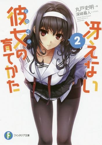 (Japanese Ver.) Light Novel Saenai Heroine no Sodatekata Saekano Vol.2