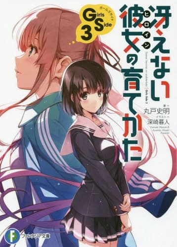 (Japanese Ver.) Light Novel Saenai Heroine no Sodatekata Saekano Vol.3