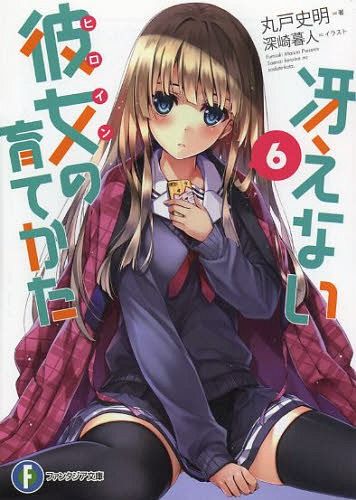 (Japanese Ver.) Light Novel Saenai Heroine no Sodatekata Saekano Vol.6