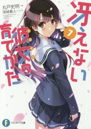 (Japanese Ver.) Light Novel Saenai Heroine no Sodatekata Saekano Vol.7