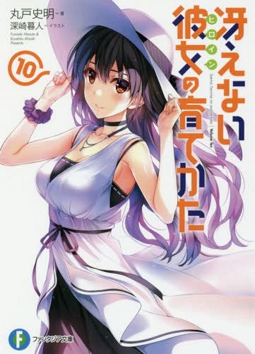 (Japanese Ver.) Light Novel Saenai Heroine no Sodatekata Saekano Vol.10