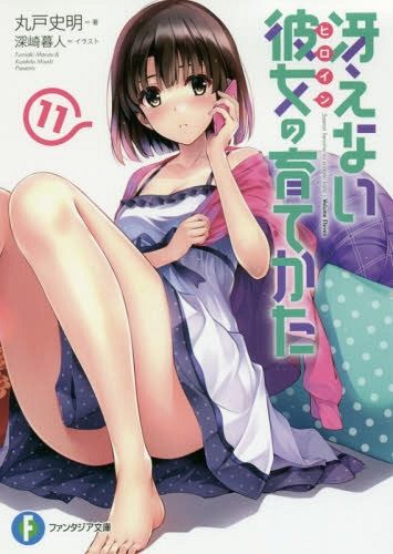 (Japanese Ver.) Light Novel Saenai Heroine no Sodatekata Saekano Vol.11