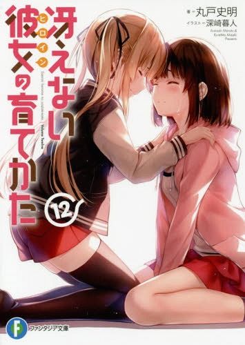 (Japanese Ver.) Light Novel Saenai Heroine no Sodatekata Saekano Vol.12