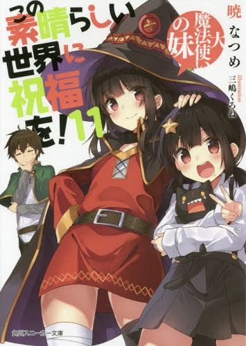 (Japanese Ver.) Light Novel KonoSuba: God's Blessing on this Wonderful World! Aa, Damegami-sama Vol.11