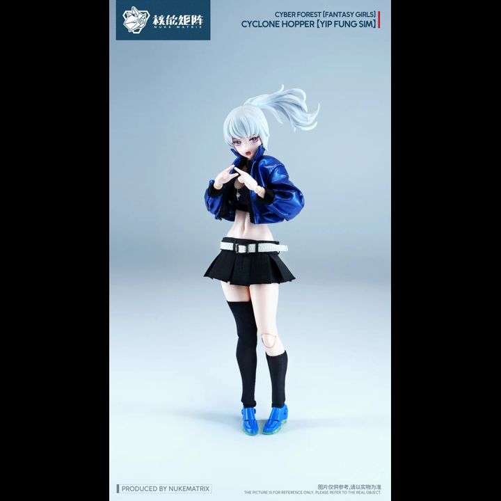 [Set of 2 Body] Nuke Matrix Model Kit 1/12 FF0120 Cyclone Hopper / Yip ...