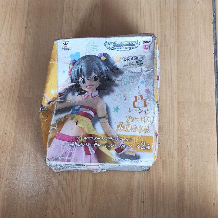 PVC Miria Akagi