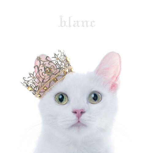 CD Album BEST SELECTION "blanc" (Regular Edition)