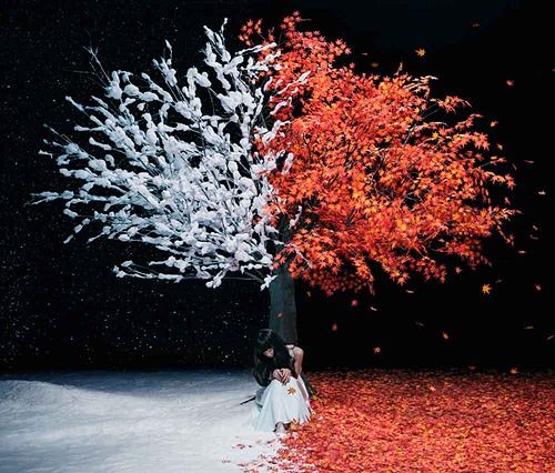 CD Single Akanesasu / Everlasting Snow (Regular Edition)