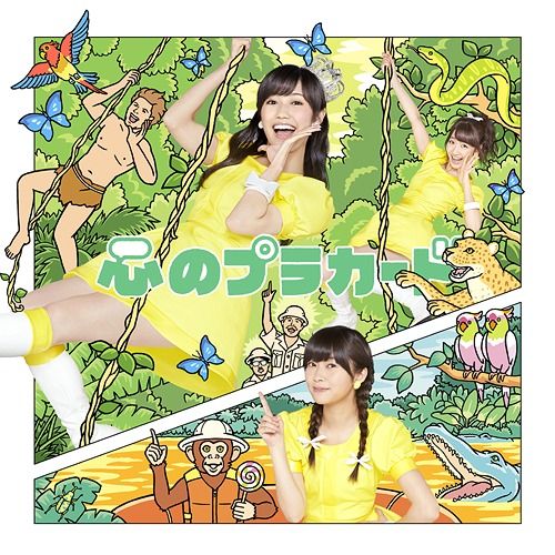 CD+DVD Single Kokoro no Placard [Type C / Regular Edition]