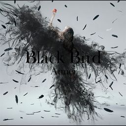 CD Single Black Bird / Tiny Dancers / Omoide wa Kirei de [Regular Edition]