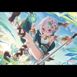 Bushiroad Rubber Mat Collection Vol. 188 Princess Connect! Re:Dive Kokkoro