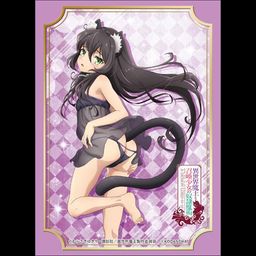 Bushiroad Sleeve Collection High-grade Vol. 1682 How Not to Summon a Demon Lord Rem Galleu