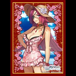 Broccoli Character Sleeve Fate/EXTELLA LINK Francis Drake Sister Brilliant Summer Vacation Ver.